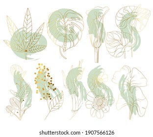 Botanical set of tropical leaves isolated on white background. Boho leaves with an abstract shape in a minimalist style. Vector illustration