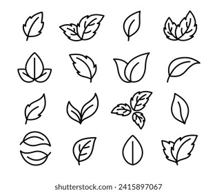 botanical set of twigs, branches and sprig with leaves line on white background