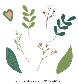 Botanical set of twigs, leaves and an abstract figure in the shape of a heart.