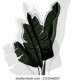 Botanical set. Vector illustration of multicolored leaves. Linear contour. Cartoon style. Natural nature. Inflorescences. Spring and autumn. Herbarium. Hand-drawn flowers. Ficus. A home flower.