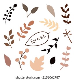Ensemble botanique de dessins vectoriels muraux. Motif floral et feutré avec illustration Vectorielle abstraite.Feuilles de café beige blanc brun