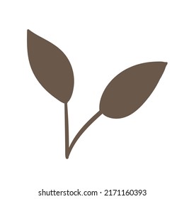 Botanical set of vector wall drawings. Floral and leafy pattern with abstract shape Vector illustration.Brown Beige white coffee leaves