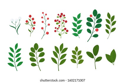 Botanical set of wild and Garden foliage grass branches for wedding invitation cards. Collection of ornamental herbs and berries. Vector graphics.