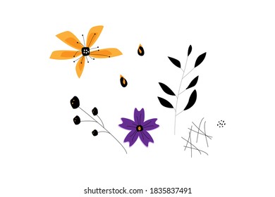 Botanical set.vector illustration.isolated on a white background.
