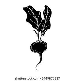 Botanical silhouette, beetroot stamp. Vector graphics.