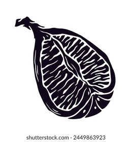 Silueta botánica de la fruta de higo.Vector gráficos.