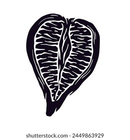 Botanical silhouette of the fig fruit.Vector graphics.