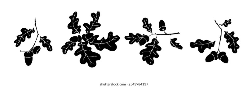 Botanical silhouette, oak branch stamp with acorns. Vector graphics.