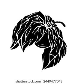Botanische Silhouette von Physalis Beeren.Vektorgrafik Grafiken.