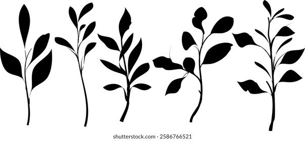 Botanical silhouette plant leaves clipart