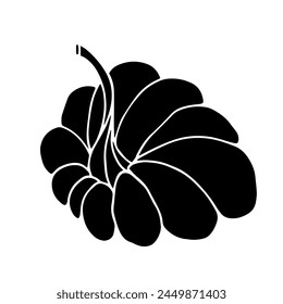 Botanical silhouette, pumpkin stamp. Vector graphics.