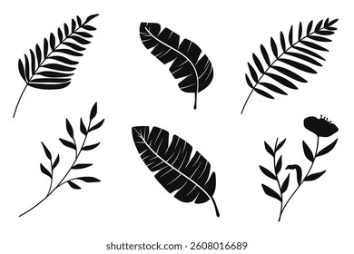 Botanical silhouette vector collection. Black tropical leaves and flowers.Vector illustration