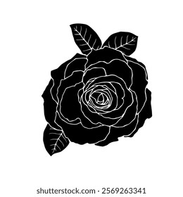 Botanical silhouette,rose flower stamp.Vector graphic.