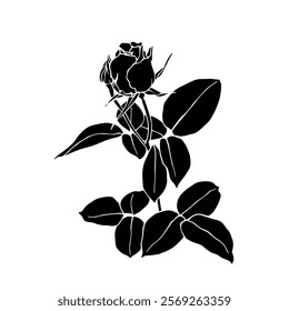 Botanical silhouette,rose flower stamp.Vector graphic.