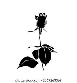 Botanical silhouette,rose flower stamp.Vector graphic.