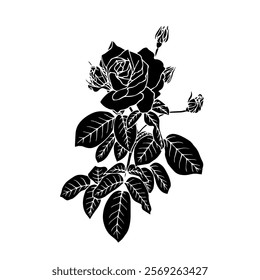 Botanical silhouette,rose flower stamp.Vector graphic.