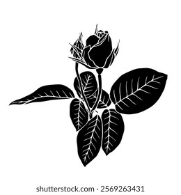 Botanical silhouette,rose flower stamp.Vector graphic.