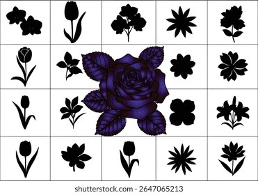 Botanical Silhouettes A Study in Floral Diversity and Form