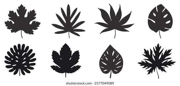 botanical silhouettes. tropical leaf. leaf collection