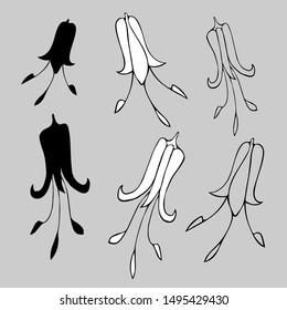 Botanical sketch with field bells. Vector design In black and white style. Elements isolated on background.Can be used for printing on paper, stickers, badges, bijouterie, cards, textiles, tattoos.