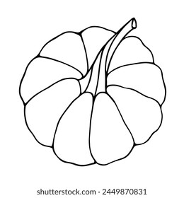 Botanical sketch, outline of a pumpkin. Vector graphics.