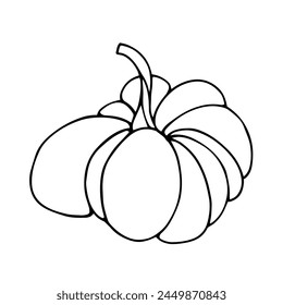 Botanical sketch, outline of a pumpkin. Vector graphics.