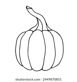 Botanical sketch, outline of a pumpkin. Vector graphics.