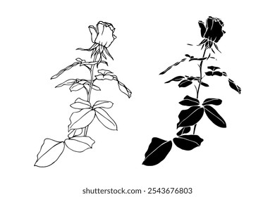 Botanical sketch, silhouette, stamp of rose flower. Vector graphics.