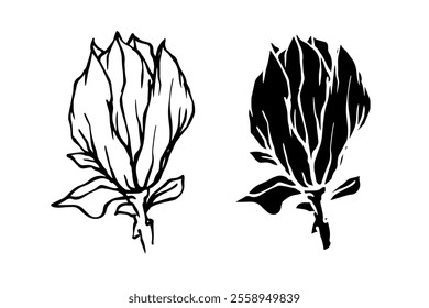 Botanical sketch, stamp, magnolia flower silhouette. Vector graphics.