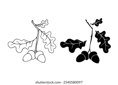 Botanical sketch, stamp, silhouette of an oak branch with acorns. Vector graphics.