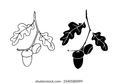 Botanical sketch, stamp, silhouette of an oak branch with acorns. Vector graphics.