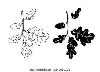 Botanical sketch, stamp, silhouette of an oak branch with acorns. Vector graphics.