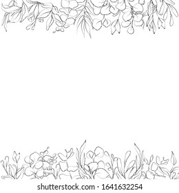 Botanical sketched floral frame. Line art hand drawn plants card.
