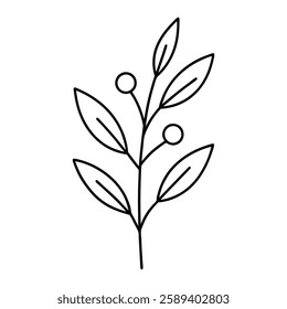 botanical sprig line art vector on white background