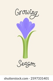 Botanical spring greeting card with crocus flowers and handwritten quote growing season. Vector floral flat illustration and calligraphy lettering
