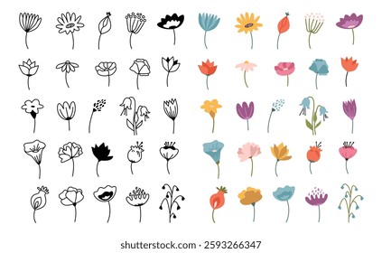 Botanical spring and summer adornment, collection of wildflowers. Vector flowers on stems. Biodiversity of seasonal plants flora. Blooming blossoms set, isolated forests or meadow vegetation