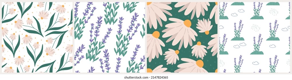 Botanical spring or summer seamless patterns set, flat vector illustration. Chamomile and lavender childish pattern, great for wrapping paper or kids clothes. Floral field or meadown.