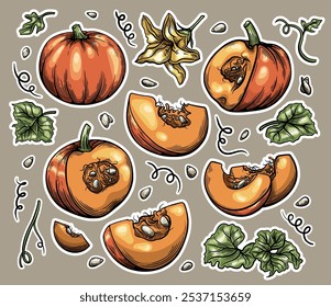 Conjunto de pegatinas botánicas para Scrapbooking de calabaza, hojas, flores y semillas en estilo de Vector dibujado a mano, ilustración detallada de Halloween de la cosecha de otoño. Vector stock ilustración