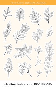 Botanical stickers set. Collection of hand drawn flowers and branches