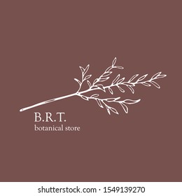 Botanical store logo vector. Minimalistic elegant design. Hand drawn branch