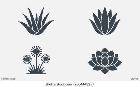 Botanical succulent flowers vector set with aloe cactus dandelion and blooming lotus floral icons