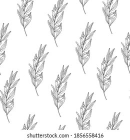 Botanical texture for wedding invitations. Floral seamless pattern with elegant branches and herbs. Vector isolated spring background for textile.	