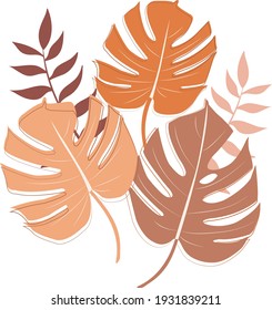 Botanical trendy composition with abstract leaf shapes vector illustration. Monstera leaves  modern art concept. Vector illustration for print t-shirts, cards, posters or textile. 