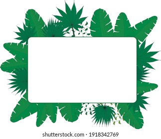 botanical tropical frame on white background