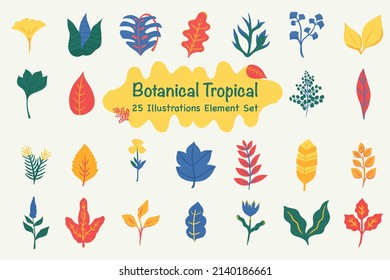 Botanical Tropical Illustration Elements Pack