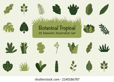 Botanical Tropical Illustration Elements Pack