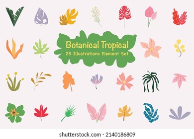 Paket mit botanischen tropischen Illustrationen