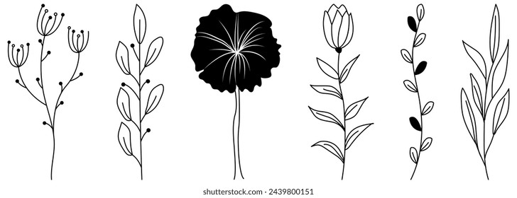 Botanical tropical leaf and flowers set. Abstract leaves collection. Vector illustration
