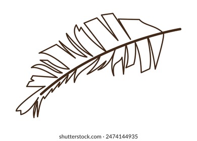 Botanical tropical palm long leaves branches hand drawn line for modern design decoration. Flat style. Vector illustration.