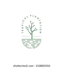 Botanical tropical plant vector design illustration logo template for nature, spa, beauty, mediation, farm, agriculture industries or other with flat line style logo